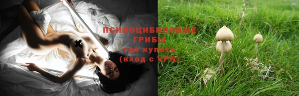 спайс Балабаново