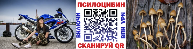 Галлюциногенные грибы прущие грибы  Унеча 