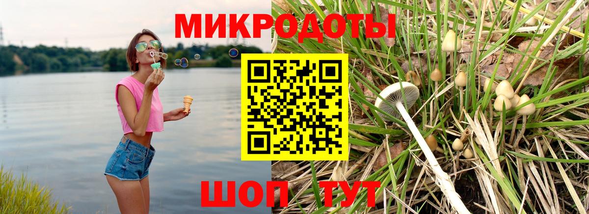 Галлюциногенные грибы Psilocybine cubensis Унеча