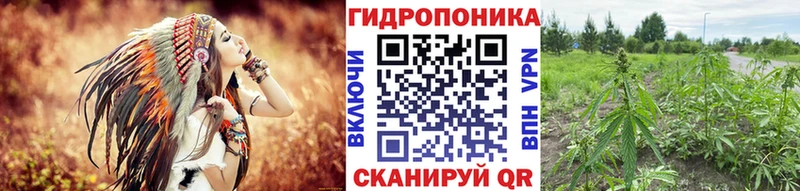 Шишки марихуана конопля  Унеча 